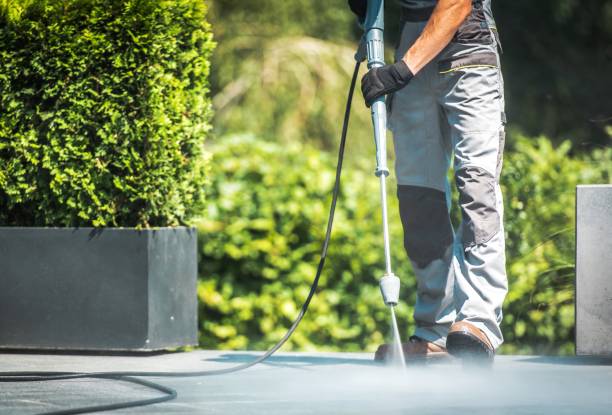 Best Gutter Cleaning  in Clyde, OH