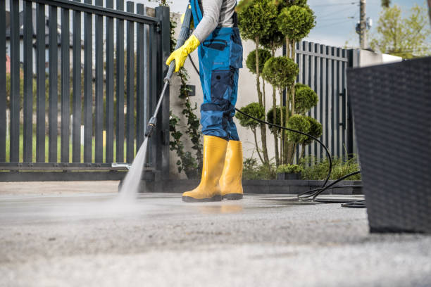 Best Sidewalk and Walkway Cleaning  in Clyde, OH